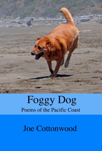 Foggy Dog front cover low res